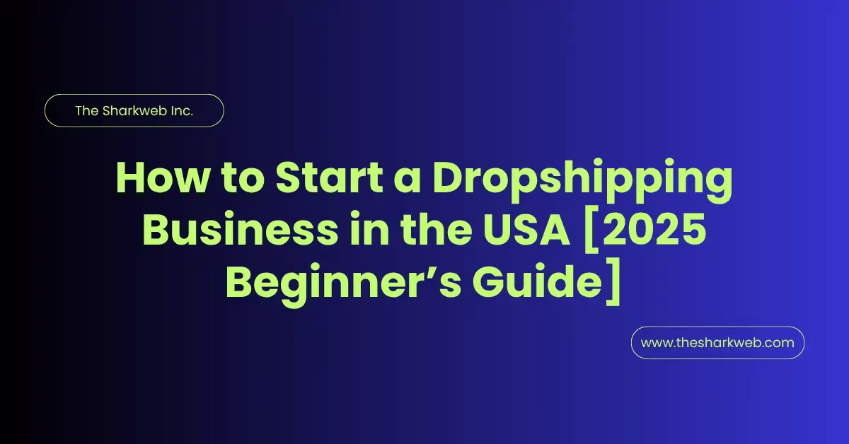 How to Start a Dropshipping Business in the USA [2025 Beginner’s Guide]